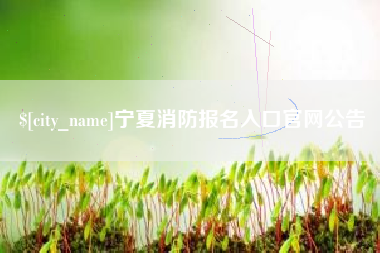 呼伦贝尔宁夏消防报名入口官网公告
