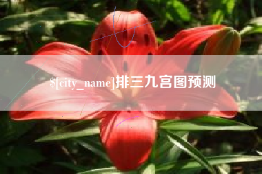 呼伦贝尔排三九宫图预测