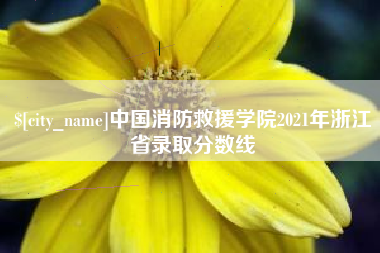 呼伦贝尔中国消防救援学院2021年浙江省录取分数线