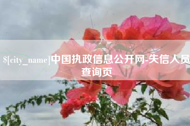 呼伦贝尔中国执政信息公开网-失信人员查询页