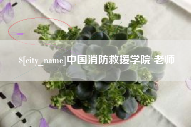 呼伦贝尔中国消防救援学院 老师