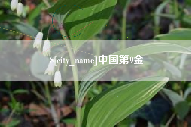 呼伦贝尔中国第9金