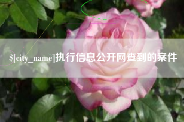 呼伦贝尔执行信息公开网查到的案件
