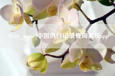 呼伦贝尔中国执行记录查询系统app