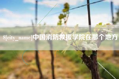 呼伦贝尔中国消防救援学院在那个地方