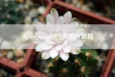 呼伦贝尔2021消防分数线