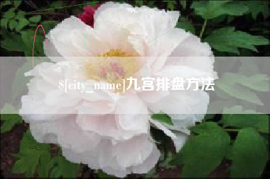 呼伦贝尔九宫排盘方法
