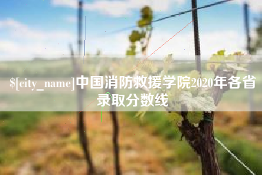 呼伦贝尔中国消防救援学院2020年各省录取分数线
