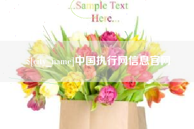 呼伦贝尔中国执行网信息官网