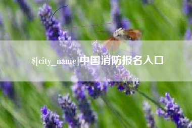 呼伦贝尔中国消防报名入口