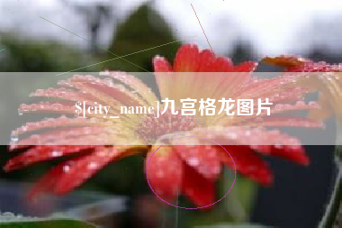 呼伦贝尔九宫格龙图片