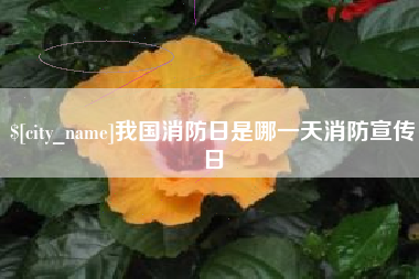 呼伦贝尔我国消防日是哪一天消防宣传日