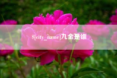 呼伦贝尔九金是谁