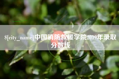 呼伦贝尔中国消防救援学院2019年录取分数线