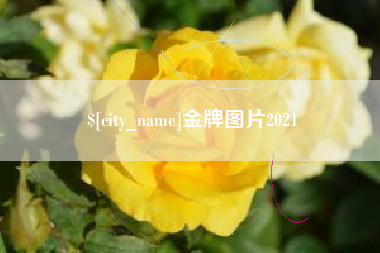 呼伦贝尔金牌图片2021