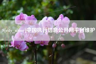 呼伦贝尔中国执行信息公开网平台维护