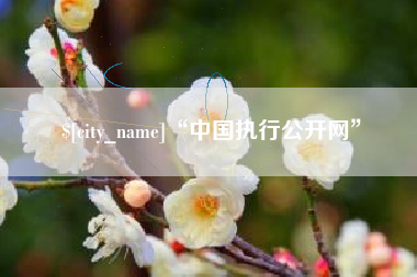 呼伦贝尔“中国执行公开网”