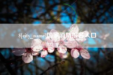 呼伦贝尔国家消防报名入口