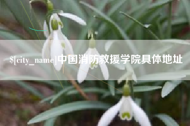 呼伦贝尔中国消防救援学院具体地址