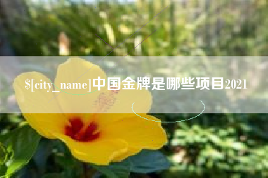 呼伦贝尔中国金牌是哪些项目2021