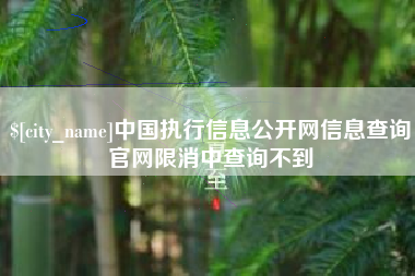 呼伦贝尔中国执行信息公开网信息查询官网限消中查询不到