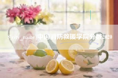 呼伦贝尔中国消防救援学院分数2020