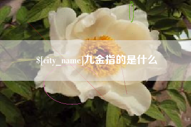 呼伦贝尔九金指的是什么