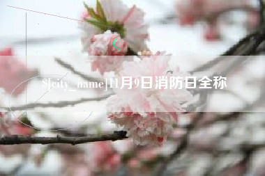 呼伦贝尔11月9日消防日全称