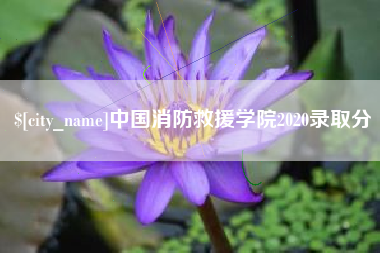 呼伦贝尔中国消防救援学院2020录取分