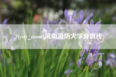 呼伦贝尔河南消防大学分数线
