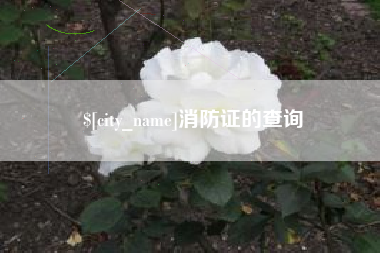 呼伦贝尔消防证的查询