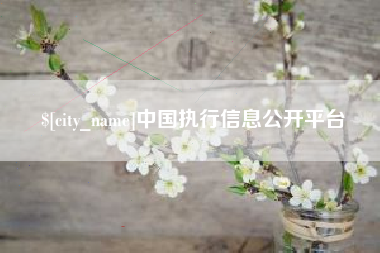 呼伦贝尔中国执行信息公开平台