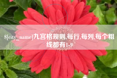 呼伦贝尔九宫格规则,每行,每列,每个粗线都有1-9