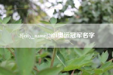 呼伦贝尔2024奥运冠军名字