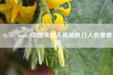 呼伦贝尔中国失信人员被执行人名单查询