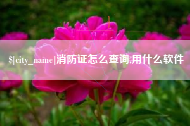 呼伦贝尔消防证怎么查询,用什么软件