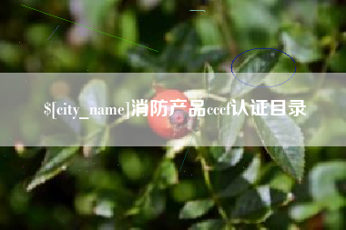 呼伦贝尔消防产品cccf认证目录