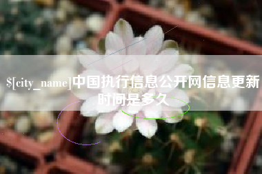 呼伦贝尔中国执行信息公开网信息更新时间是多久