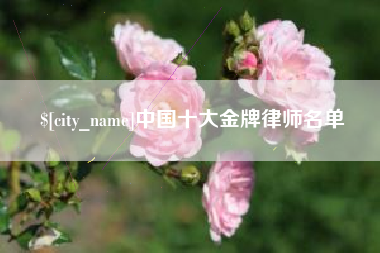 呼伦贝尔中国十大金牌律师名单