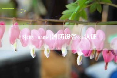 呼伦贝尔消防设备ccc认证