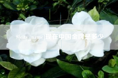 呼伦贝尔现在中国金牌是多少