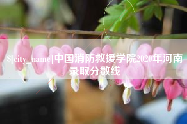 呼伦贝尔中国消防救援学院2020年河南录取分数线