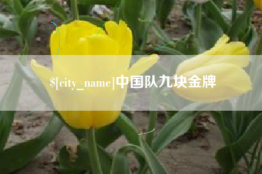 呼伦贝尔中国队九块金牌