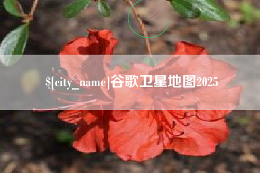 呼伦贝尔谷歌卫星地图2025