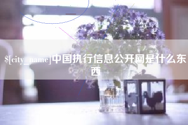 呼伦贝尔中国执行信息公开网是什么东西