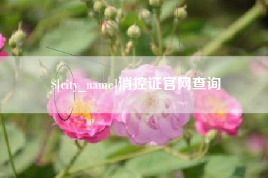 呼伦贝尔消控证官网查询