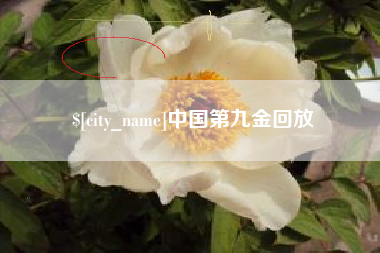 呼伦贝尔中国第九金回放