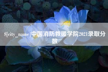 呼伦贝尔中国消防救援学院2021录取分数