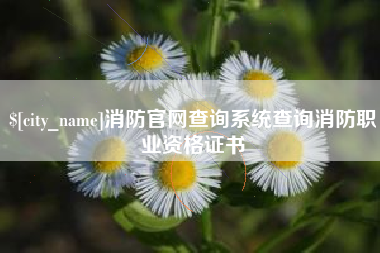 呼伦贝尔消防官网查询系统查询消防职业资格证书
