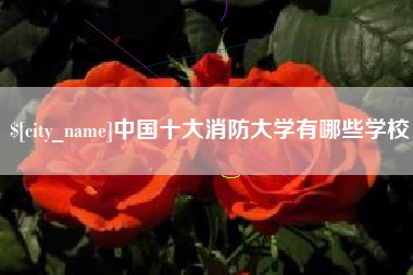 呼伦贝尔中国十大消防大学有哪些学校